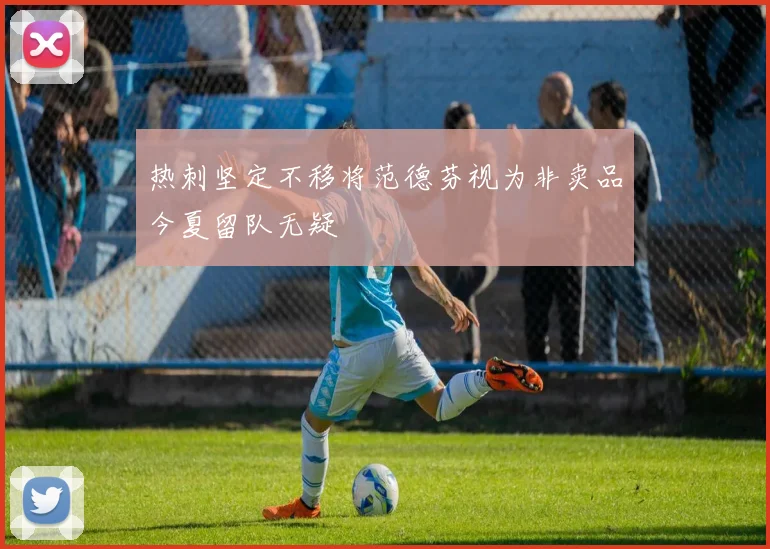 热刺坚定不移将范德芬视为非卖品今夏留队无疑
