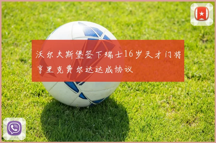 沃尔夫斯堡签下瑞士16岁天才门将亨里克费尔达达成协议